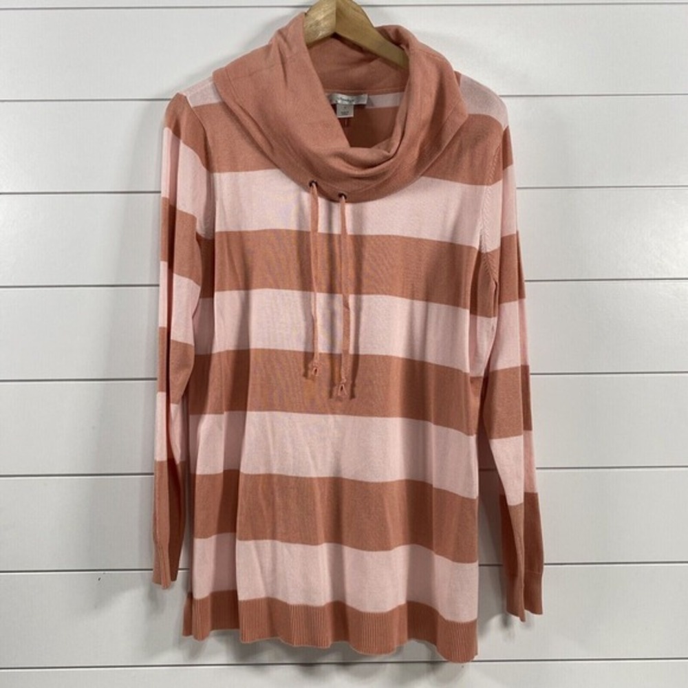 C.J. Banks Womens Stripe Turtleneck Sweater size‎ 14W X NWT Preppy Nerd Waldo